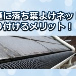 雨樋に落ち葉よけネットの取り付け方と得られる効果！
